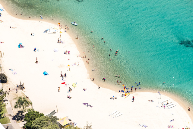 Local's Guide to Gold Coast Beaches card